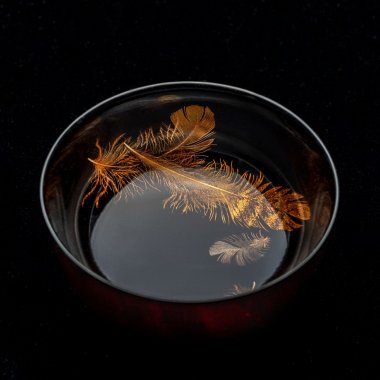 作品写真「羽根蒔絵杯 #5」