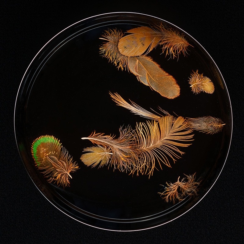 樋渡 賢　「蒔絵手帖 14 「羽根蒔絵」」